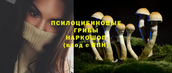 дмт Богородицк