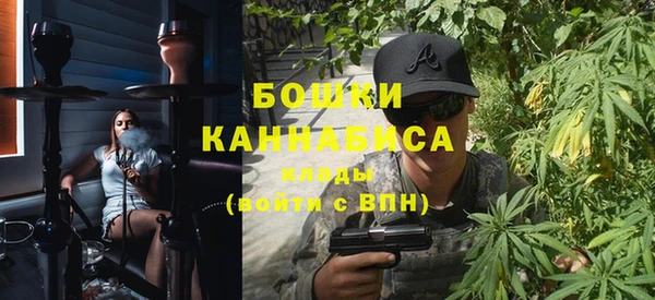 ГАЛЛЮЦИНОГЕННЫЕ ГРИБЫ Богданович