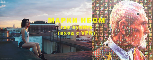 ГАЛЛЮЦИНОГЕННЫЕ ГРИБЫ Богданович