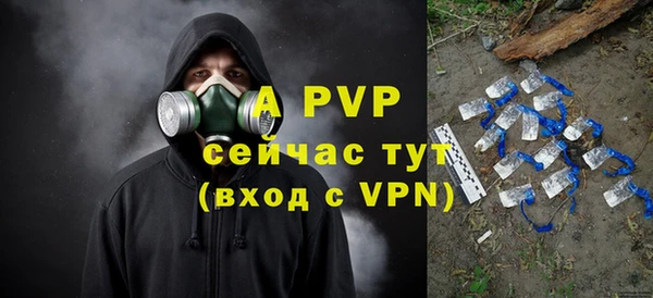 ГАЛЛЮЦИНОГЕННЫЕ ГРИБЫ Богданович