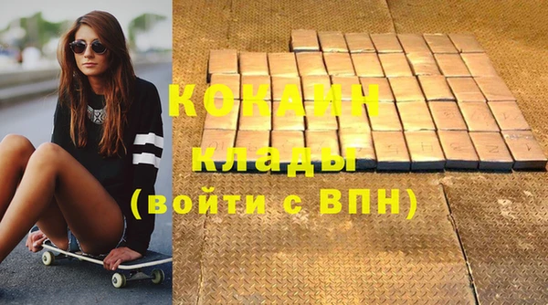 ГАЛЛЮЦИНОГЕННЫЕ ГРИБЫ Богданович