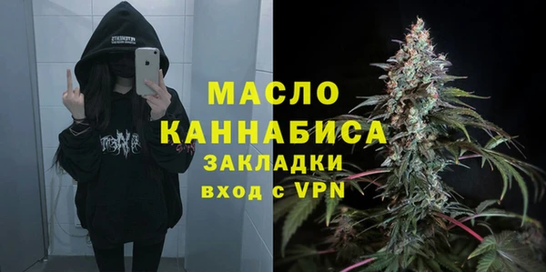 дмт Богородицк